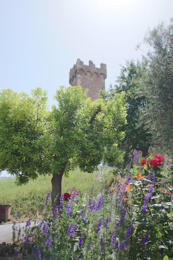 Casa Costa Delle Caserme Montalcino Kültér fotó